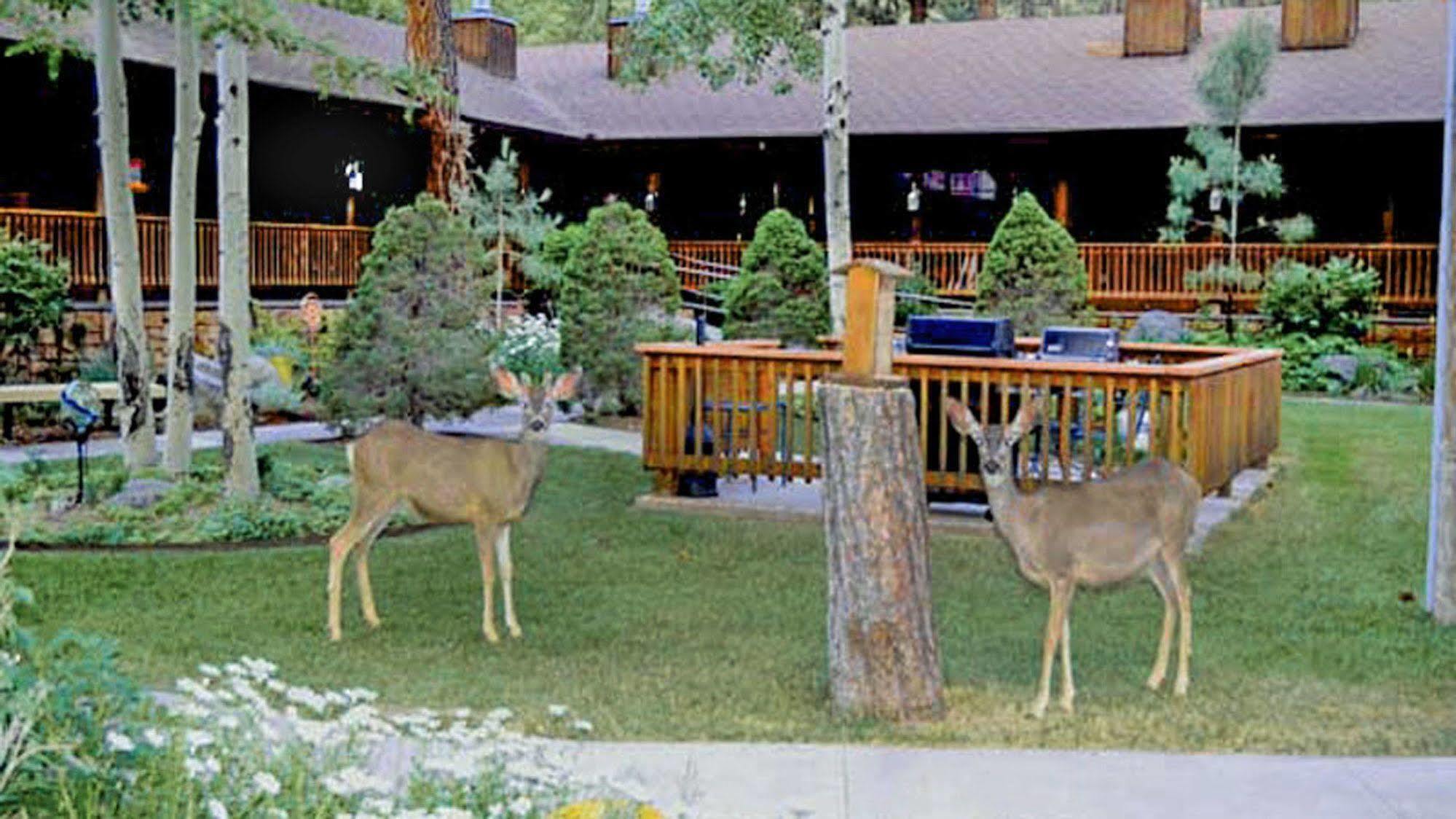 Shadow Mountain Lodge And Cabins Ruidoso Buitenkant foto